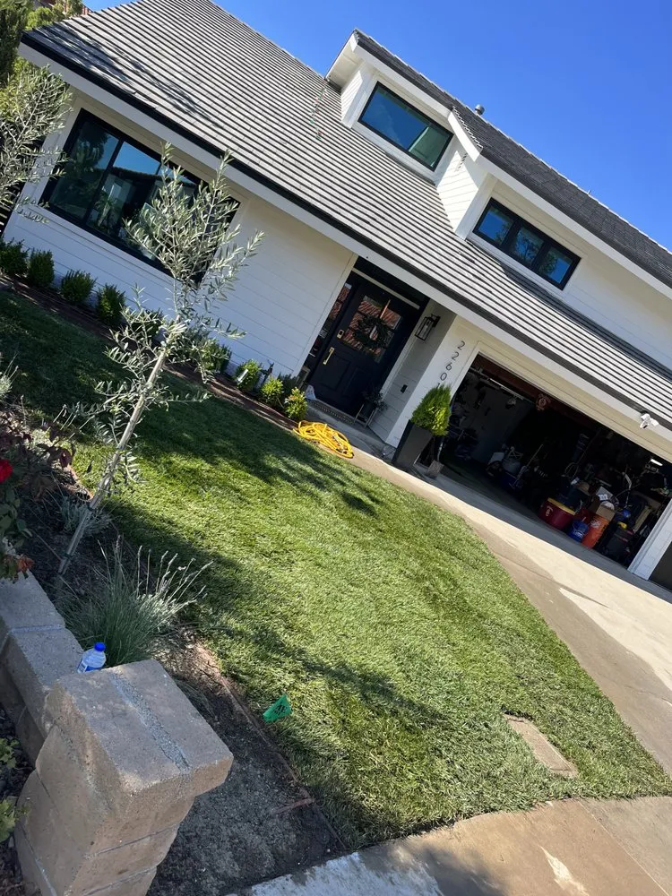 Affordable lawn mowing service in Santa Ana, CA - Golden Tree Care