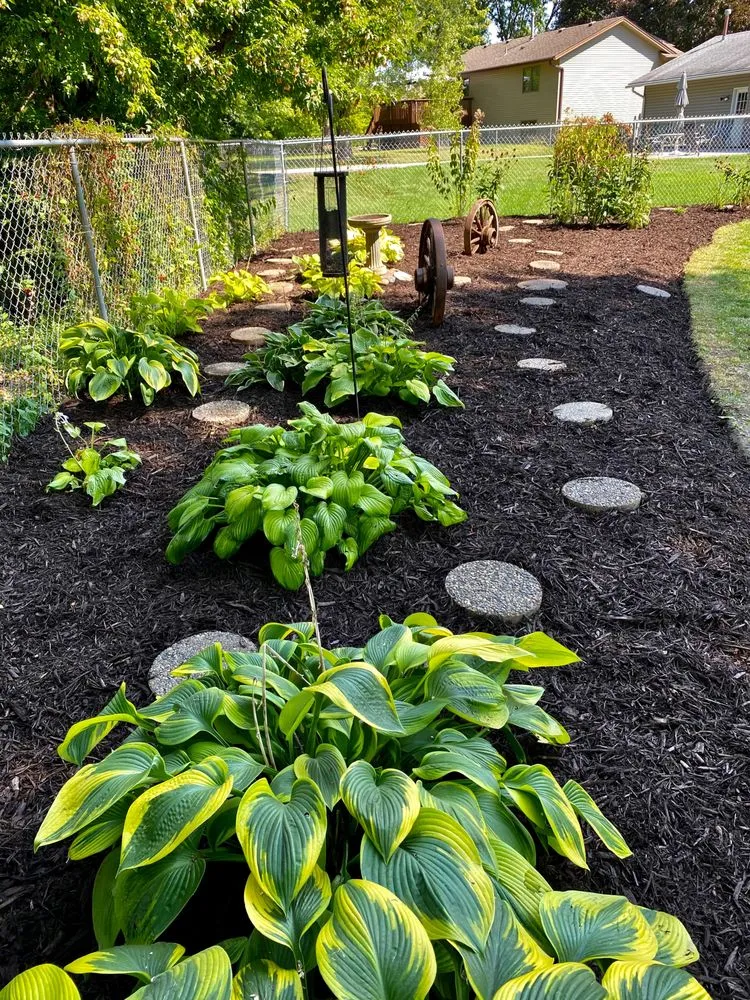 Local yard maintenance for year-round maintenance in Coon Rapids, MN by Golden Tree Landscaping & Tree Service