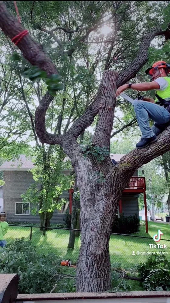 Trusted lawn care service in Coon Rapids, MN by Golden Tree Landscaping & Tree Service