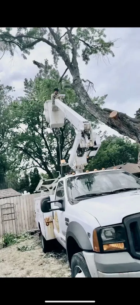 Affordable lawn care service in Coon Rapids, MN by Golden Tree Landscaping & Tree Service