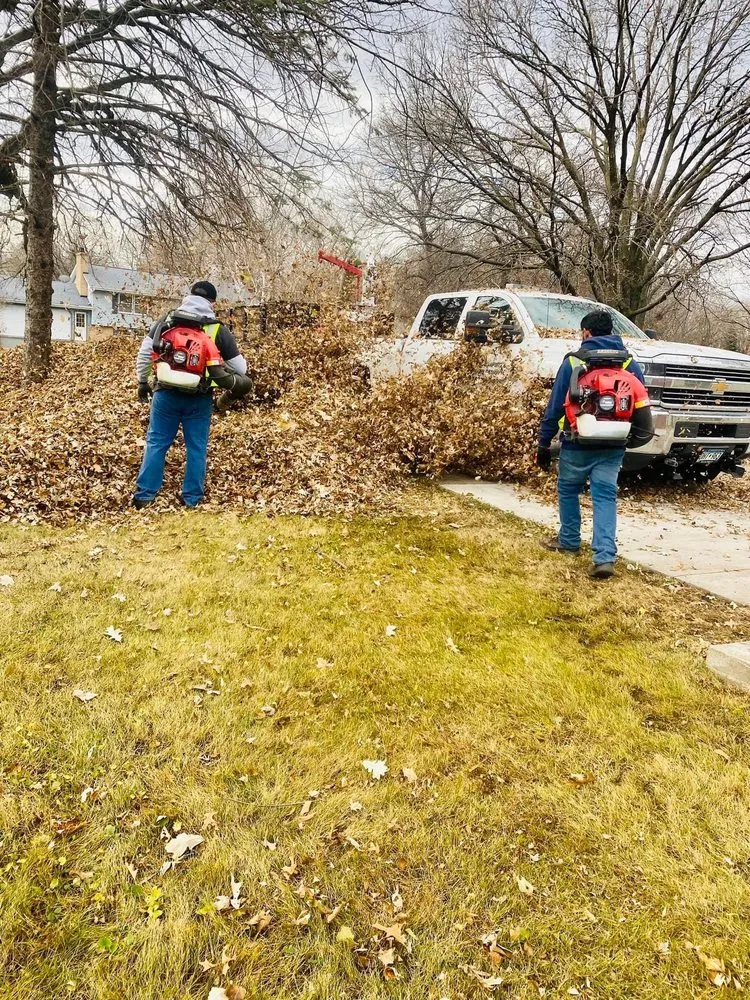 Custom landscape installation for year-round maintenance in Coon Rapids, MN by Golden Tree Landscaping & Tree Service
