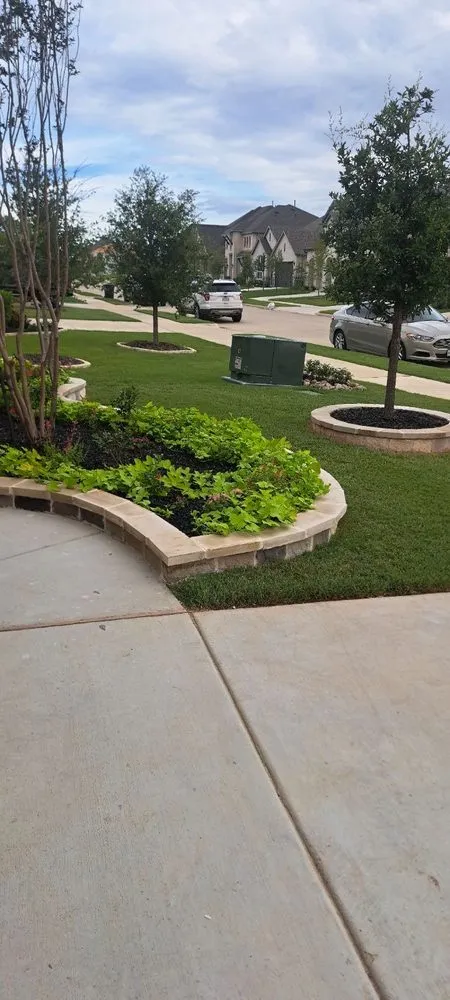 Affordable landscaping services for year-round maintenance in Alvarado, TX by Golden Tree Lawn Care