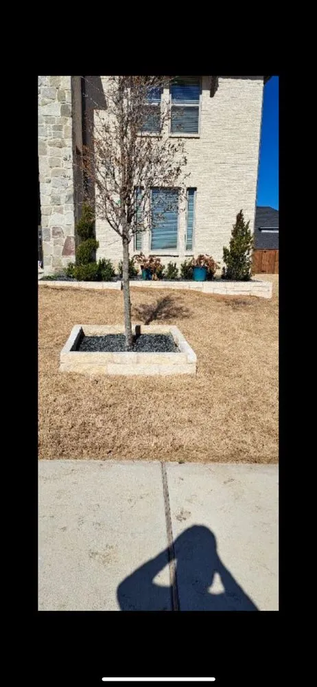Expert landscaping services in Alvarado, TX - Golden Tree Lawn Care
