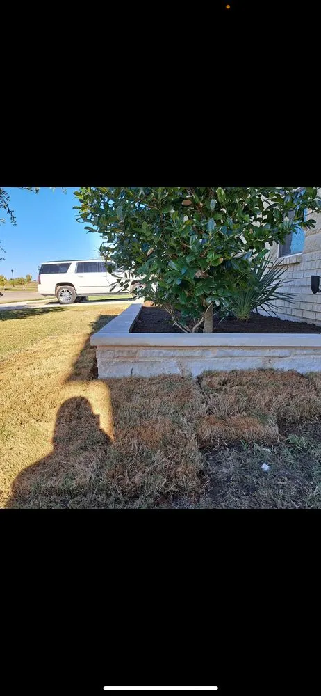 Expert residential landscaping for beautiful yards in Alvarado, TX by Golden Tree Lawn Care