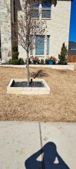 Custom landscaping services near you across Alvarado, TX - Golden Tree Lawn Care