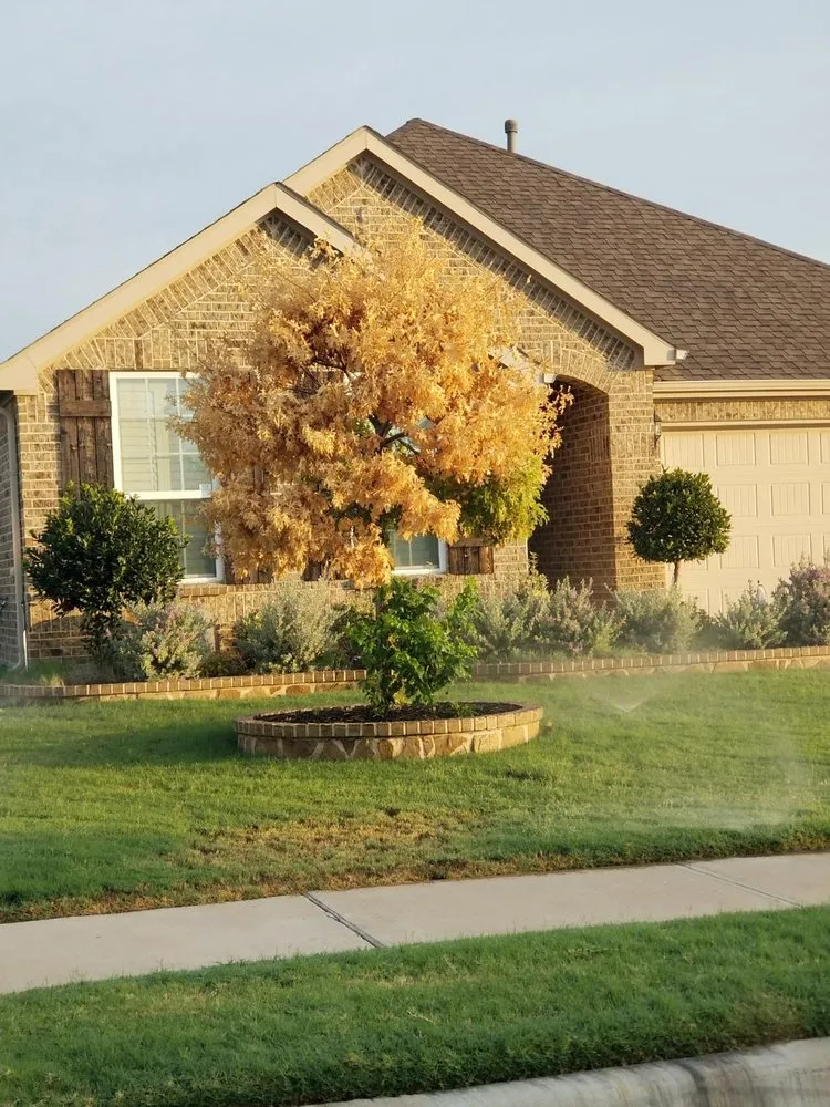 Expert yard maintenance experts serving Alvarado, TX - Golden Tree Lawn Care