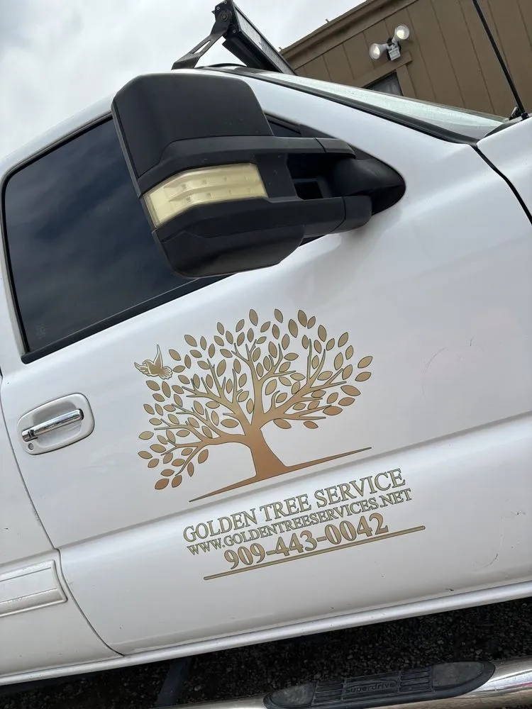 Reliable lawn mowing service in Pomona, CA by Golden Tree Service