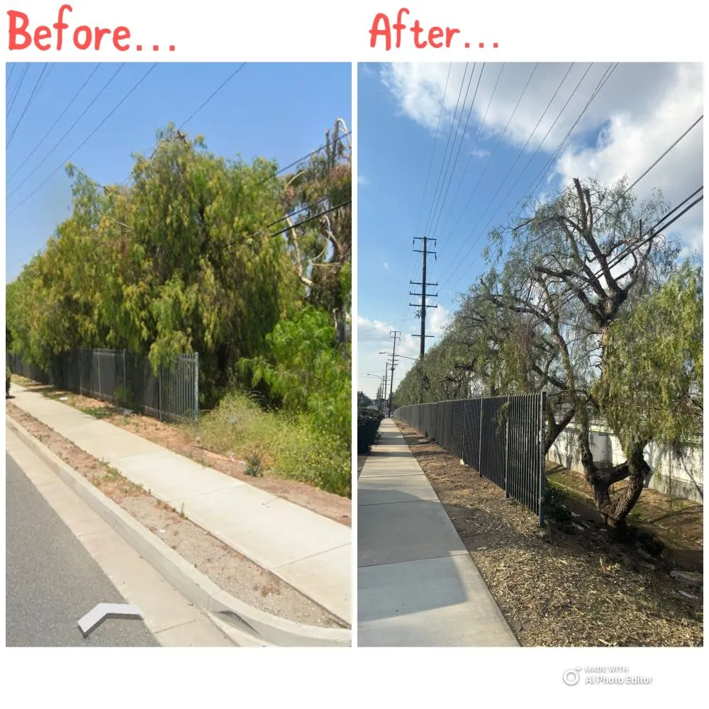 Professional garden landscaping for homes across Pomona, CA - Golden Tree Service