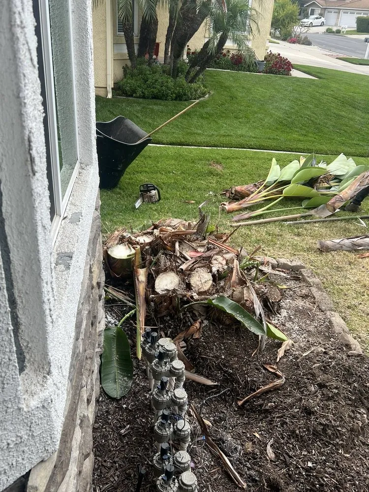 Custom lawn care service in Pomona, CA by Golden Tree Service