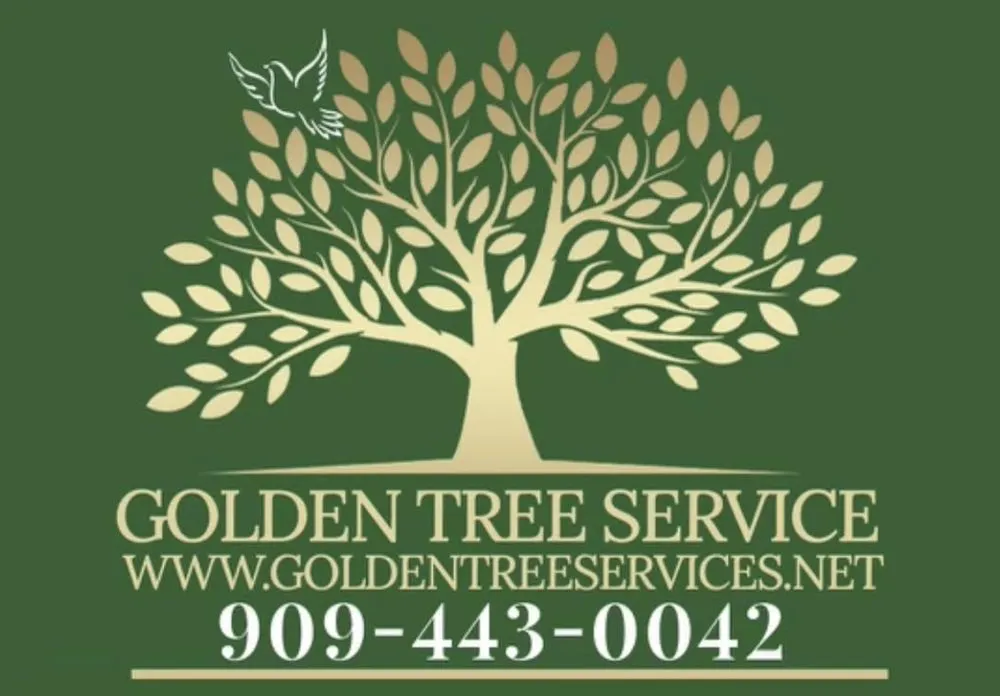 Reliable yard cleanup service near you across Pomona, CA - Golden Tree Service