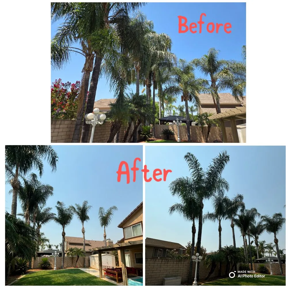 Top-rated landscape design near you across Pomona, CA - Golden Tree Service