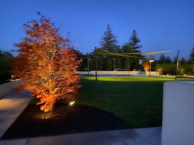 Top-rated landscape design for outdoor upgrades in Loomis, CA by Golden Valley Development