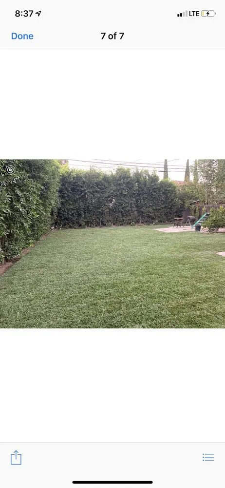 Affordable lawn mowing service experts serving Slymar, CA - Golden View Landscape & Hardscape