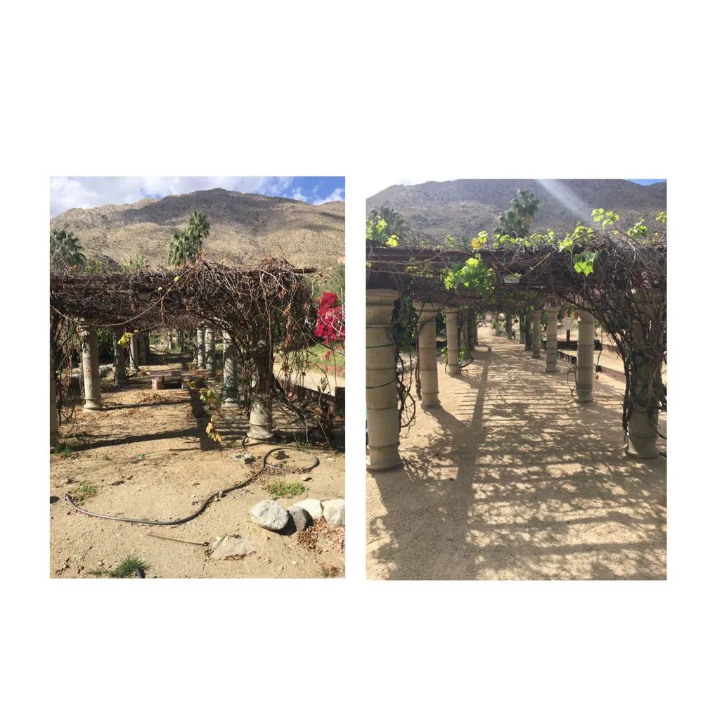 Professional landscape installation with custom design in Palm Springs, CA by Golden View Landscaping