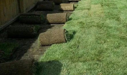 Professional garden landscaping for homes across Batavia, IL - Golden Willow