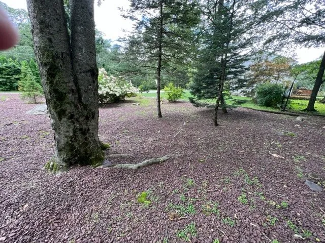Professional landscape installation for residential properties across Pottersville, NJ - Golden Wolf Landscape & Design
