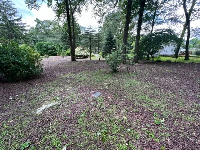 Custom yard cleanup service in Pottersville, NJ by Golden Wolf Landscape & Design