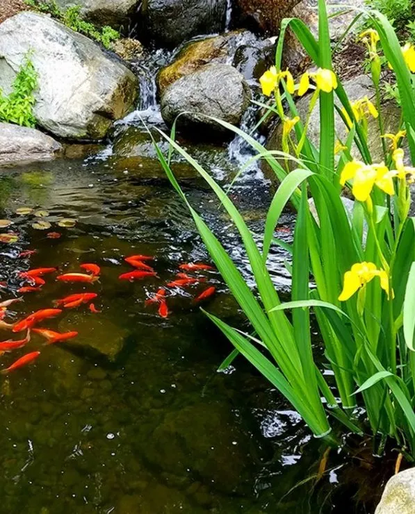 Expert landscaping services in Pottersville, NJ by Golden Wolf Landscape & Design