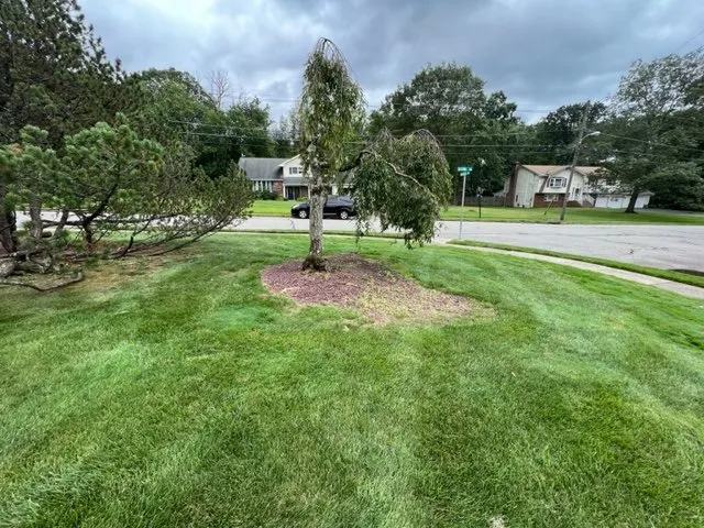Reliable landscape design with custom design in Pottersville, NJ by Golden Wolf Landscape & Design