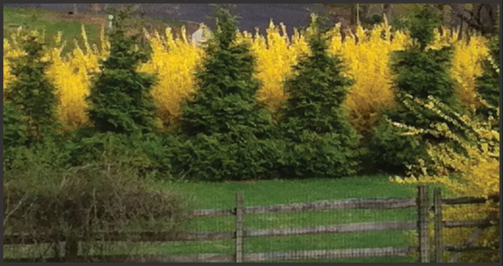 Affordable landscape design in New Hope, PA by Goldenberg's Estate Management