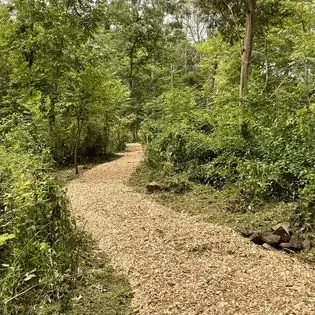 Affordable yard cleanup service for homes across New Hope, PA - Goldenberg's Estate Management