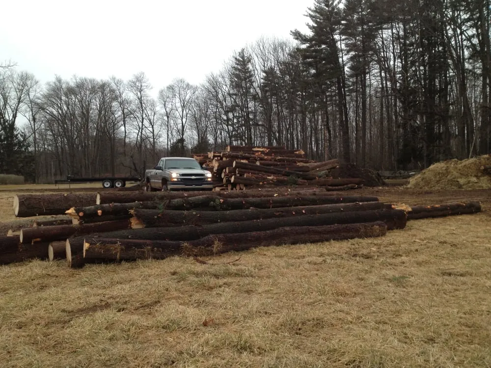 Expert yard maintenance in New Hope, PA - Goldenberg's Estate Management