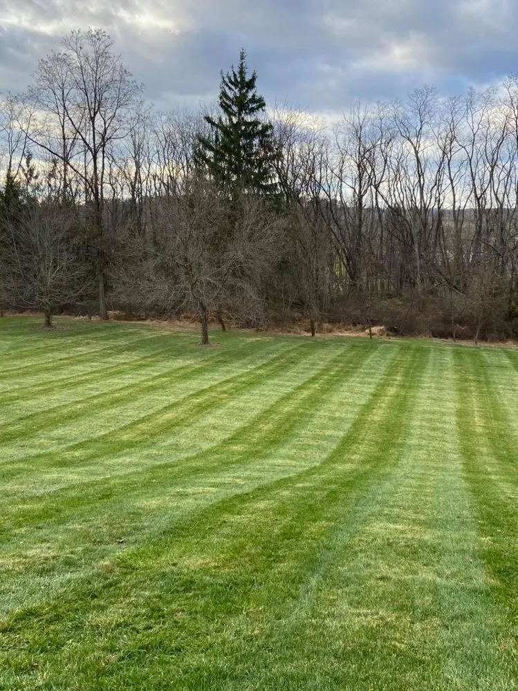 Professional lawn care service experts serving New Hope, PA - Goldenberg's Estate Management