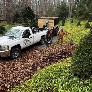 Professional yard cleanup service for outdoor upgrades in New Hope, PA by Goldenberg's Estate Management