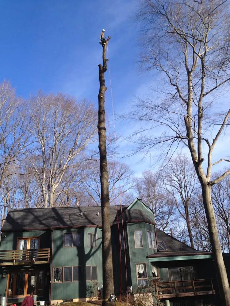 Top-rated lawn care service for year-round maintenance in New Hope, PA by Goldenberg's Estate Management