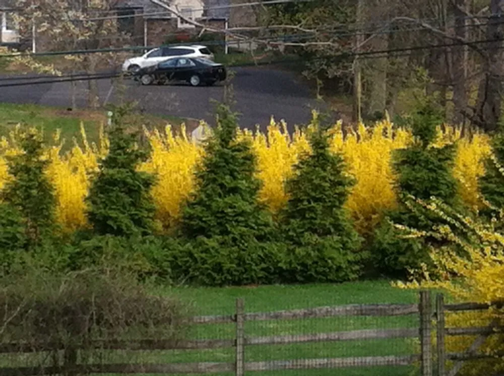 Affordable residential landscaping for homes in New Hope, PA by Goldenberg's Estate Management