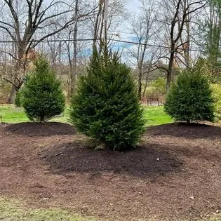 Affordable yard maintenance for outdoor upgrades across New Hope, PA - Goldenberg's Estate Management