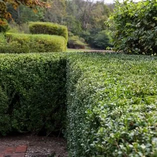 Expert landscape installation for year-round maintenance in New Hope, PA by Goldenberg's Estate Management