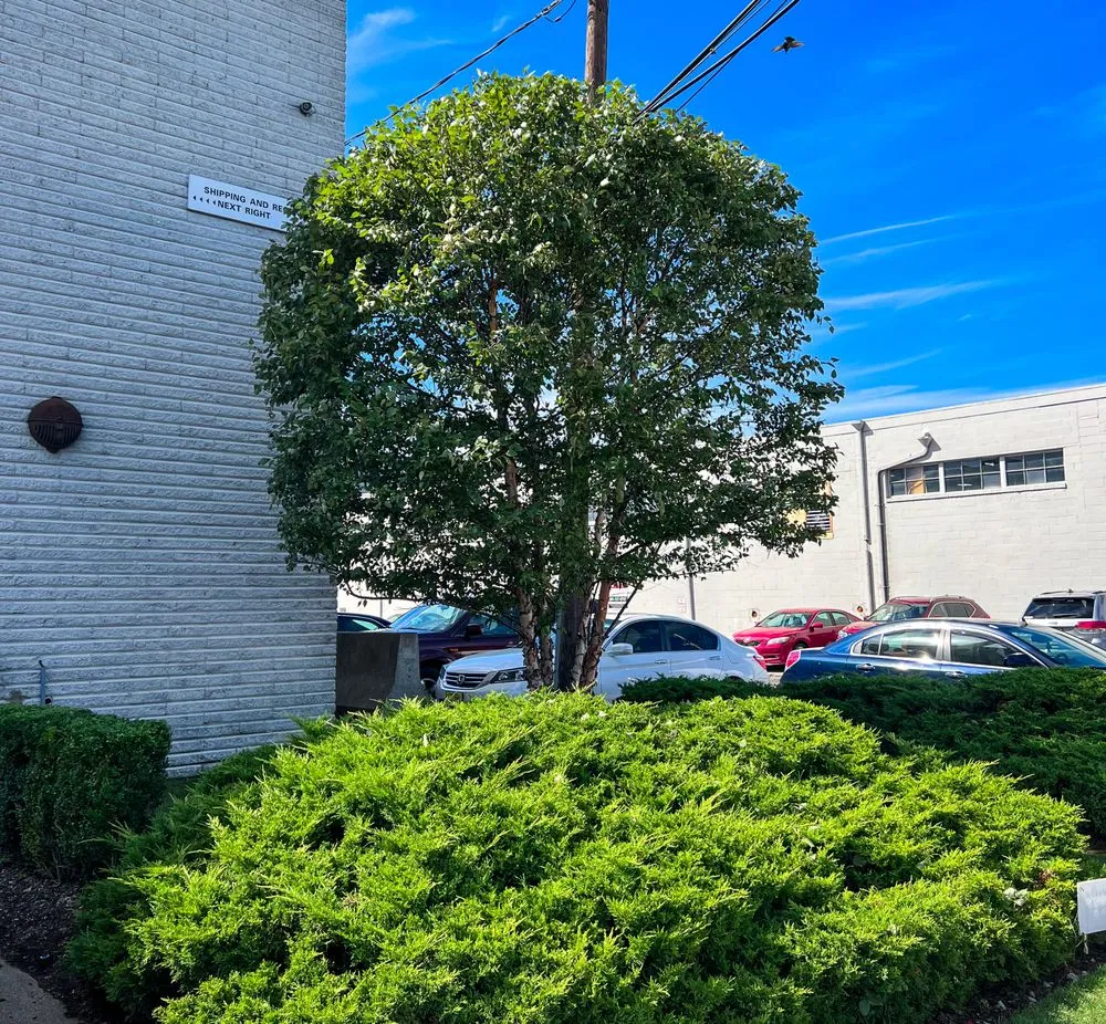 Local yard maintenance for beautiful yards across Wyckoff, NJ - Goldendew Landscapes