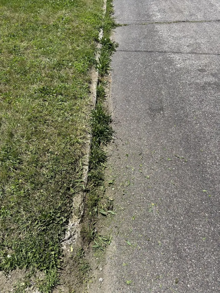 Local lawn care service in Peoria, IL - Goldenmind Empire