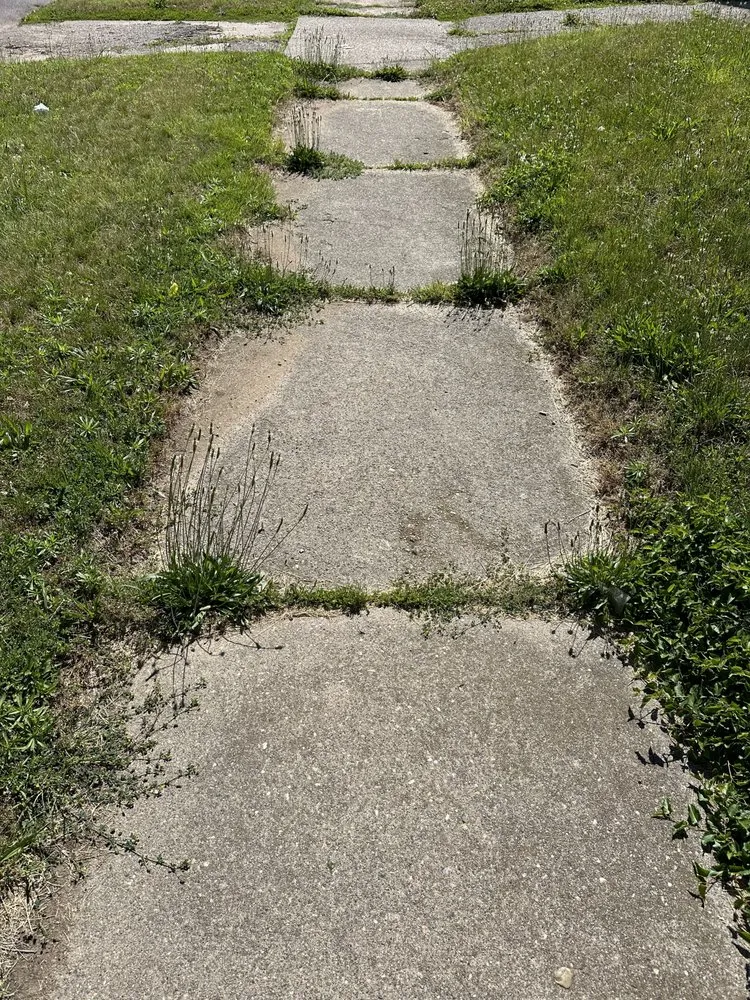 Professional outdoor landscaping for homes in Peoria, IL by Goldenmind Empire