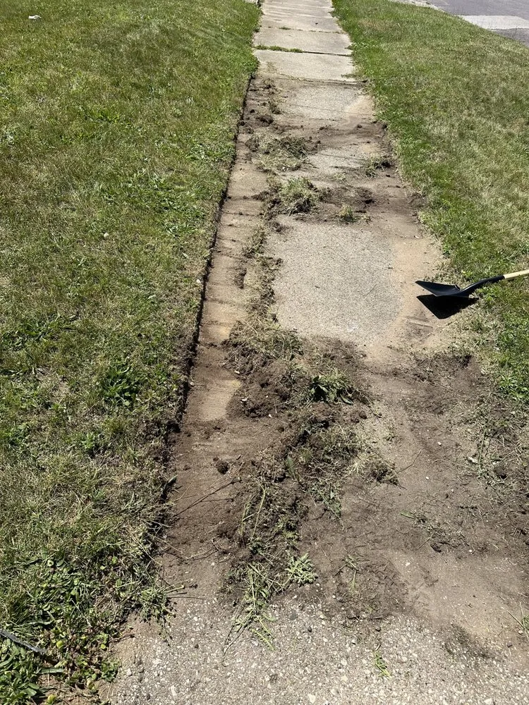 Reliable landscape design in Peoria, IL - Goldenmind Empire