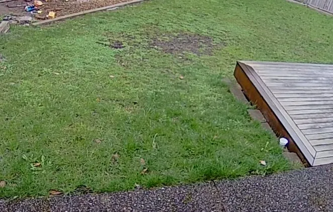 Top-rated lawn care service experts serving Issaquah, WA - GoldenRule Lawn and Landscape