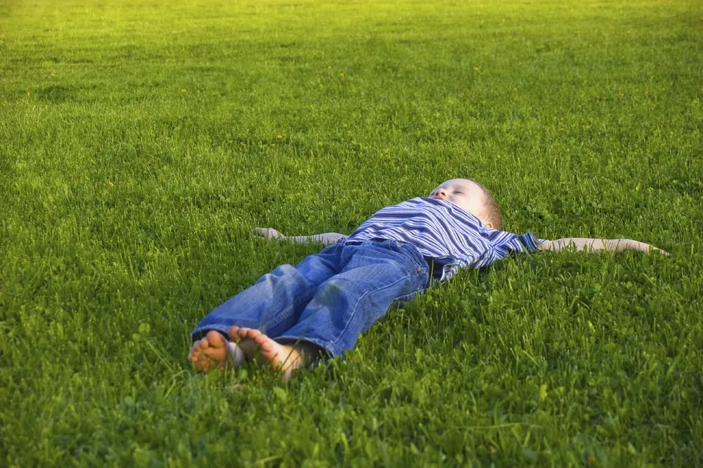 Reliable yard maintenance for year-round maintenance in Issaquah, WA by GoldenRule Lawn and Landscape