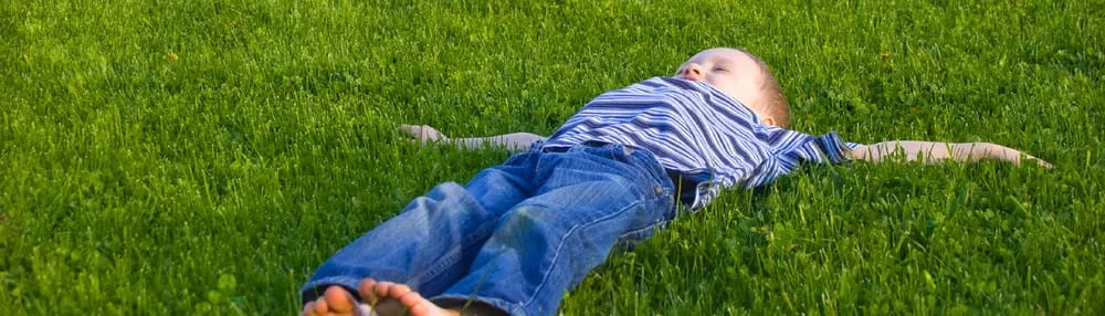 Local lawn care service in Issaquah, WA - GoldenRule Lawn and Landscape