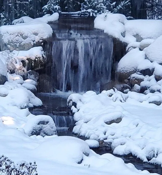 Reliable garden landscaping experts serving Issaquah, WA - GoldenRule Lawn and Landscape