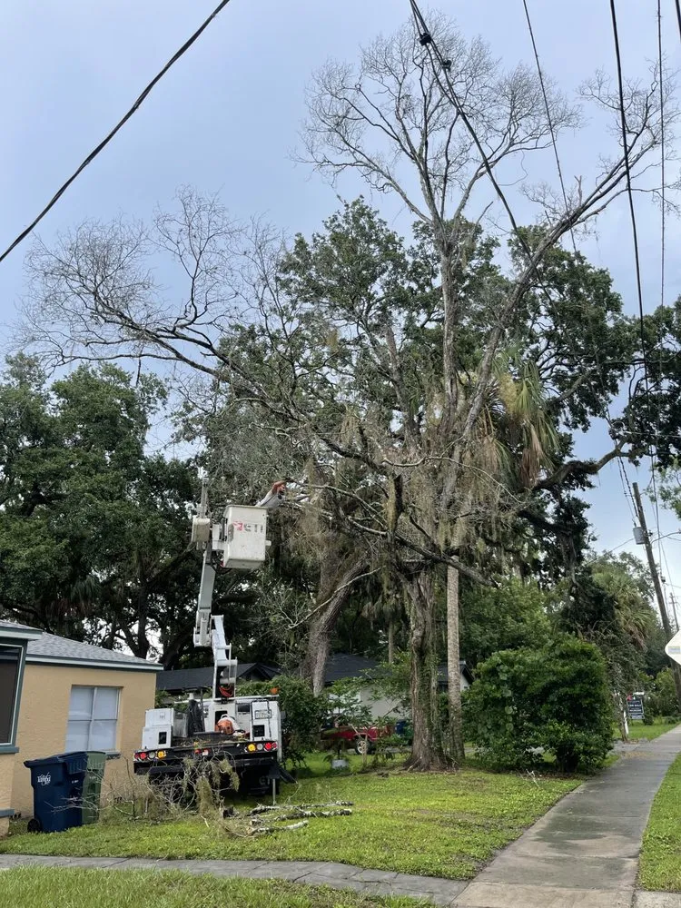 Professional landscape design for outdoor upgrades in Seffner, FL by Goldens Landscape and Tree