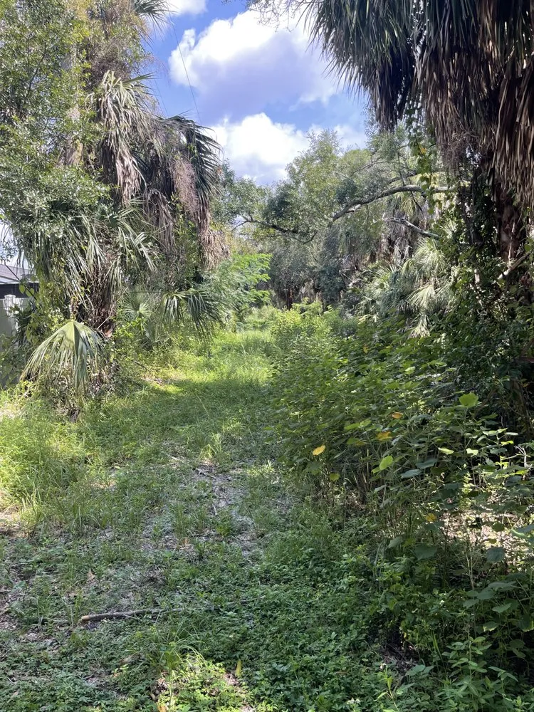 Custom yard maintenance with custom design in Seffner, FL by Goldens Landscape and Tree