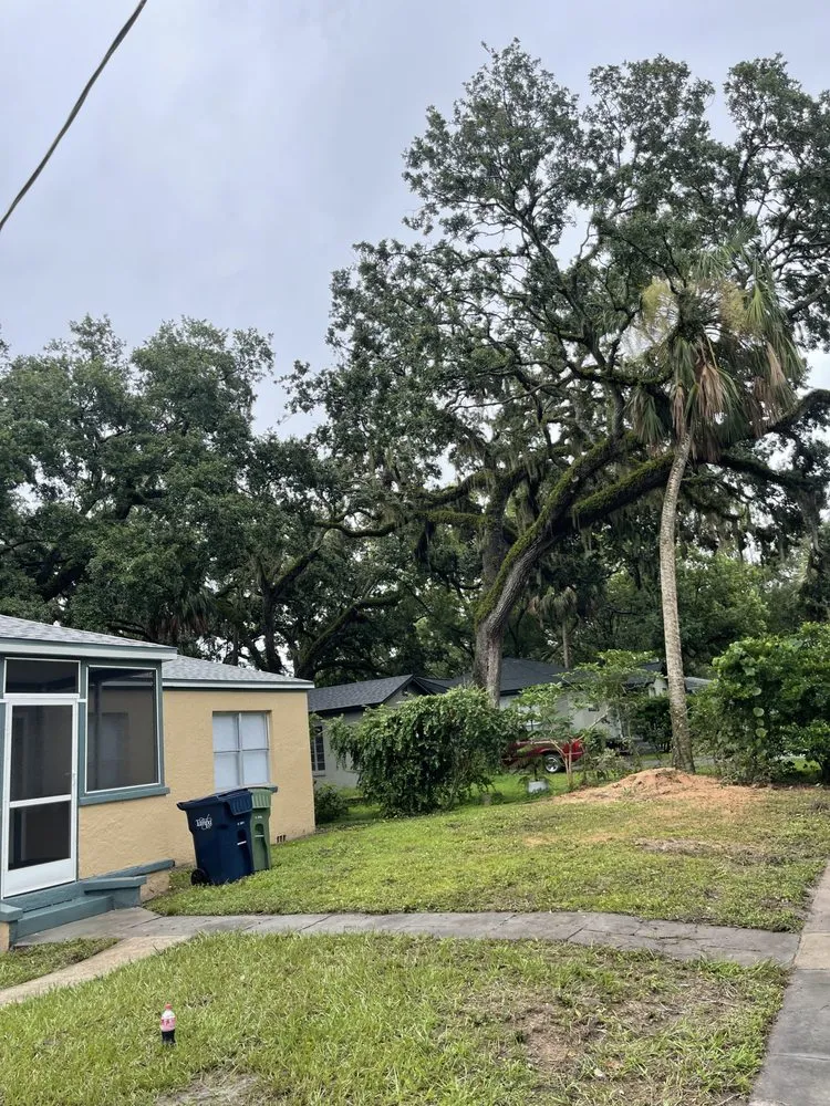 Custom residential landscaping experts serving Seffner, FL - Goldens Landscape and Tree