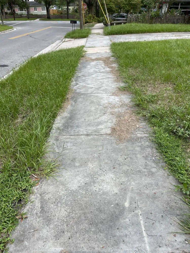 Reliable garden landscaping for beautiful yards in Seffner, FL by Goldens Landscape and Tree