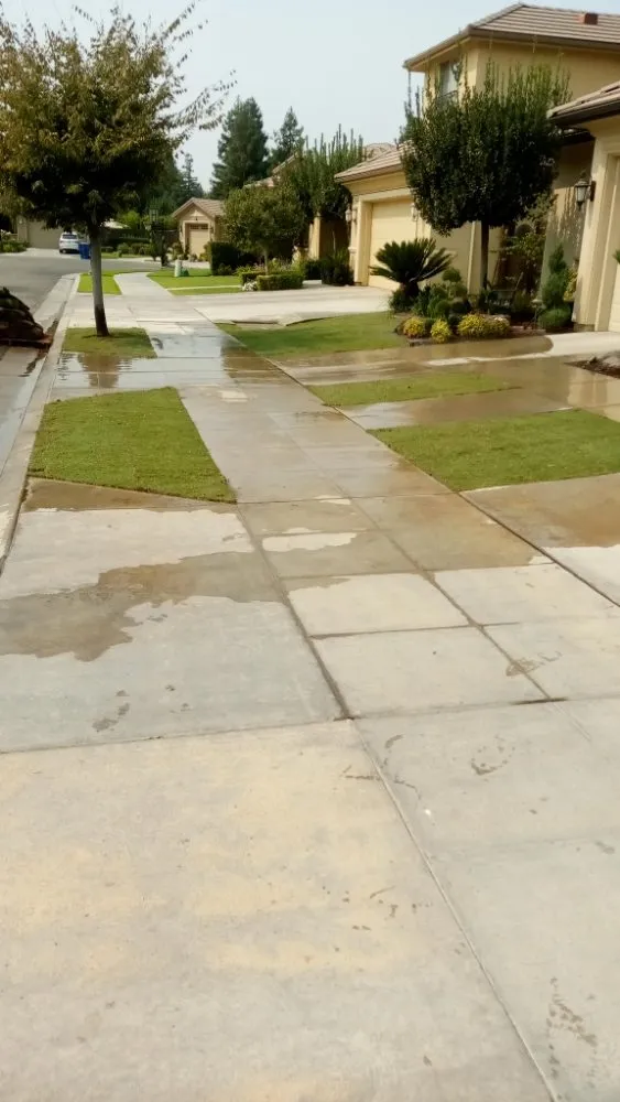 Top-rated garden landscaping in Parlier, CA by Goldenscapes detailed gardening service