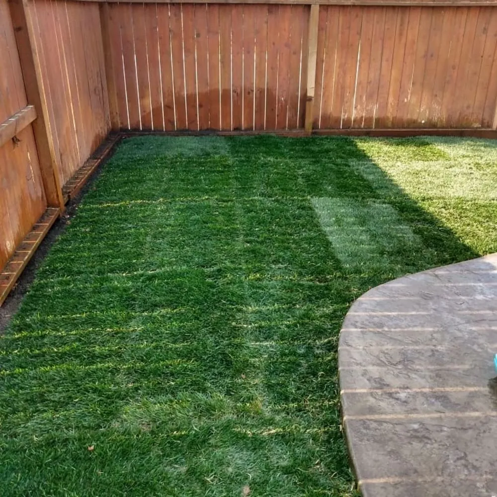 Top-rated outdoor landscaping in Parlier, CA - Goldenscapes detailed gardening service