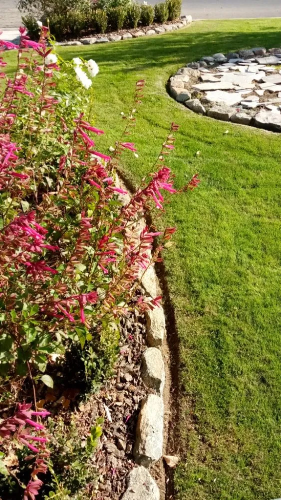 Local outdoor landscaping in Parlier, CA by Goldenscapes detailed gardening service