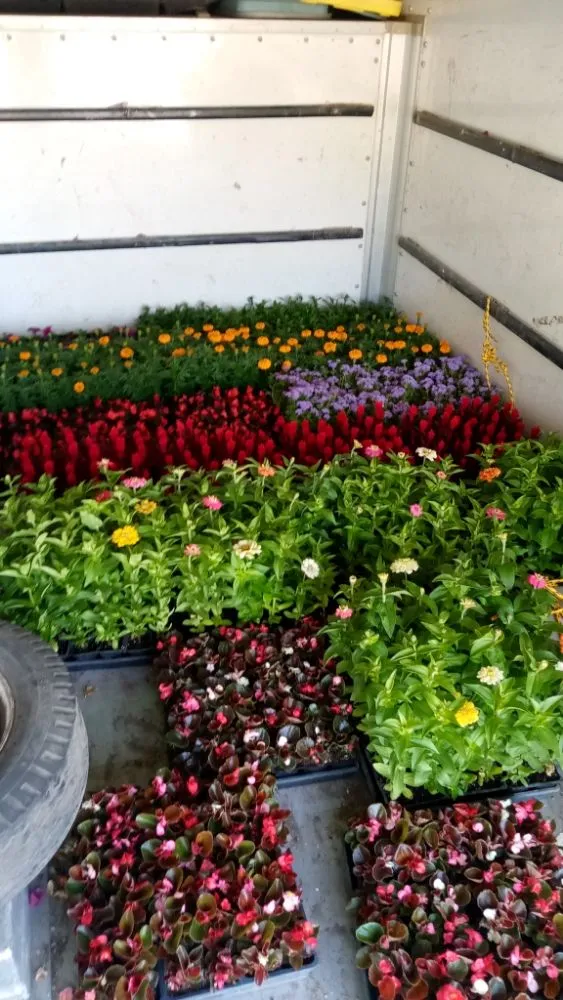 Expert garden landscaping for outdoor upgrades in Parlier, CA by Goldenscapes detailed gardening service