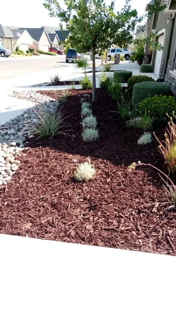 Affordable landscaping services for outdoor upgrades across Parlier, CA - Goldenscapes detailed gardening service