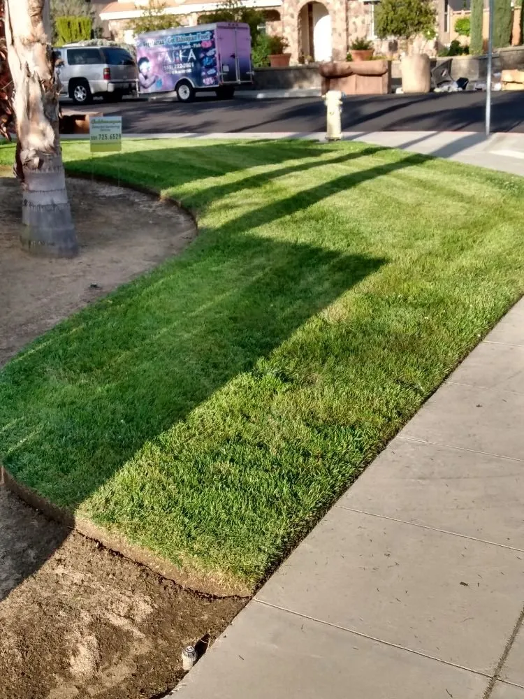 Affordable outdoor landscaping in Parlier, CA - Goldenscapes detailed gardening service